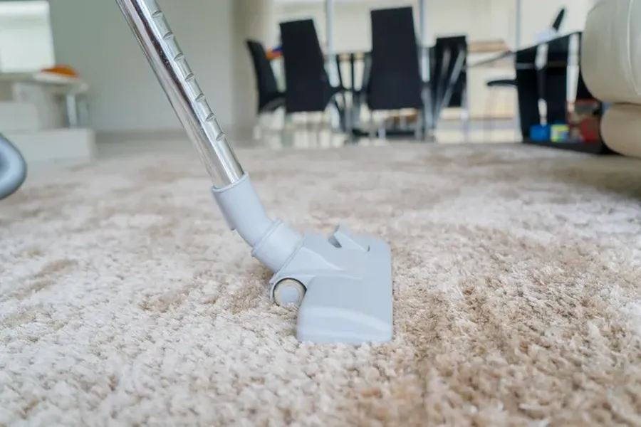 How Professional Carpet Cleaning Protects Flooring in New Port Richey, FL How Professional Carpet Cleaning Protects Flooring in New Port Richey, FL